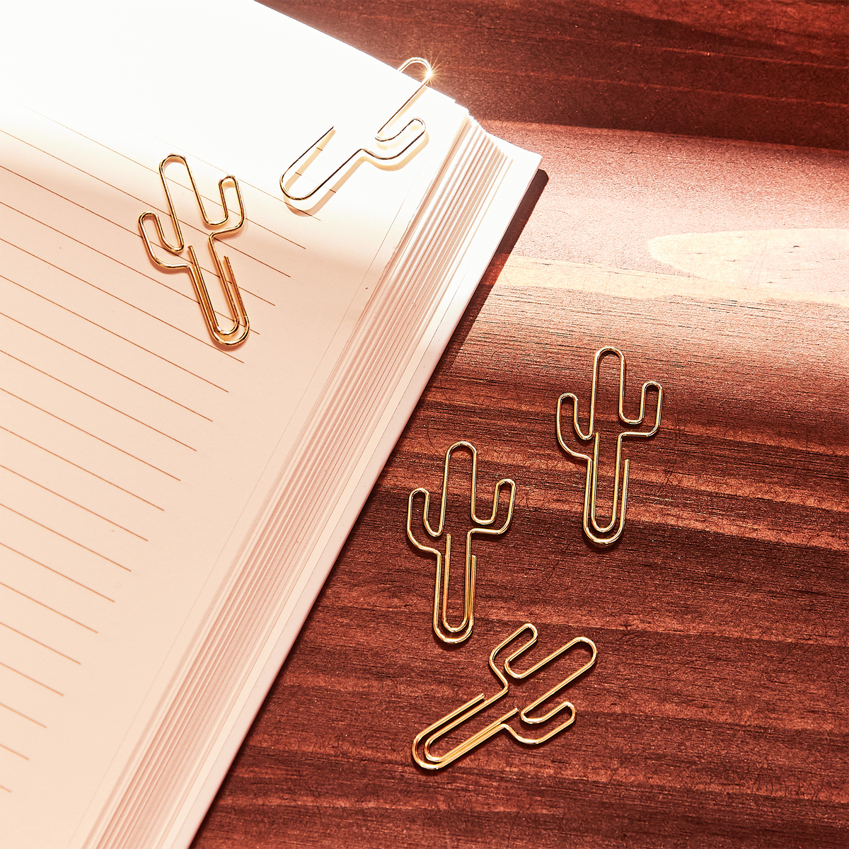 SUCK UK Clipboard Cactus Or