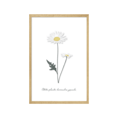 4MURS Image sous verre Douce campagne marguerite Vert et transparent