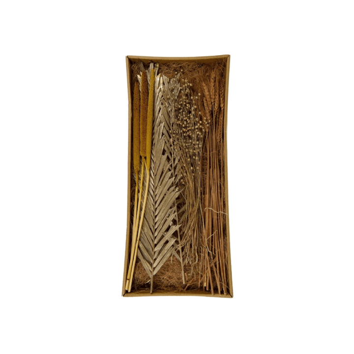 Fleurs séchées Arona Beige