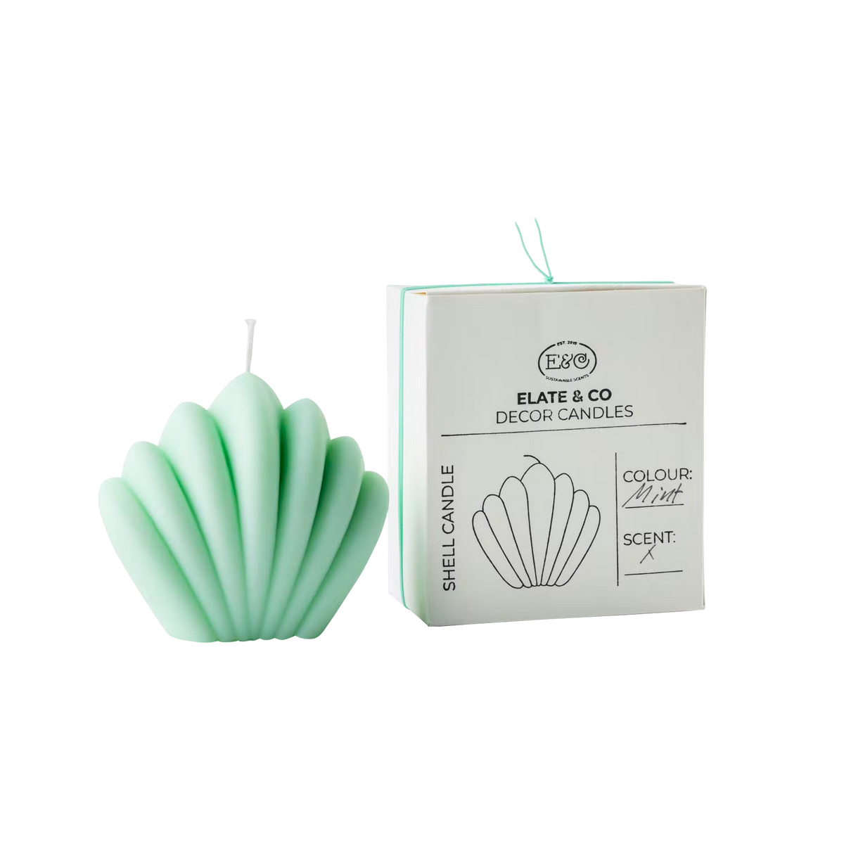 ELATE & CO Bougie Shell Vert Sans parfum