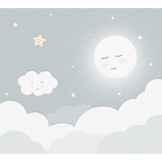 4MURS Papier peint panoramique XL LOUNA 300 x 270 cm