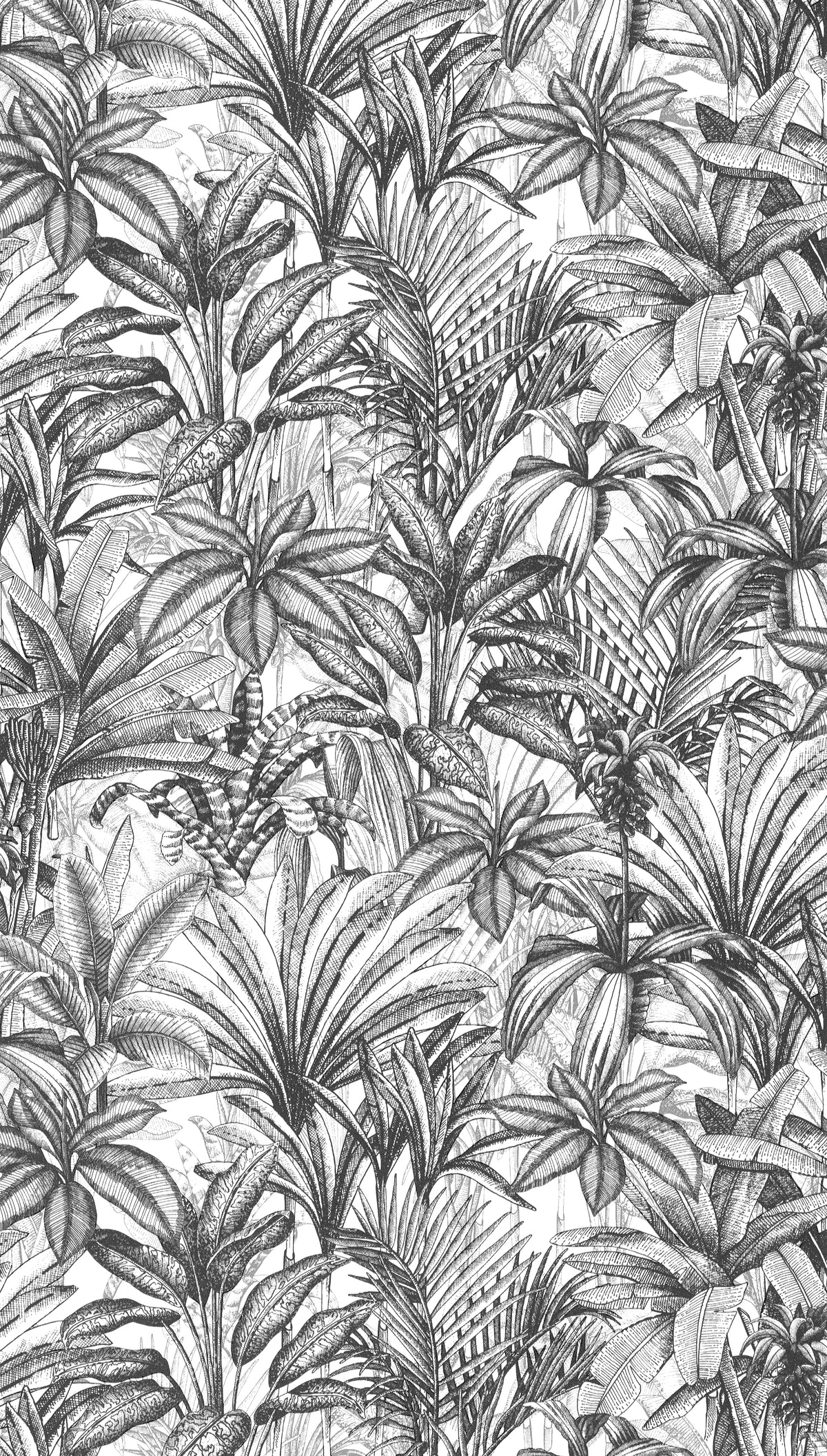 Papier peint intissé Jebha Anthracite