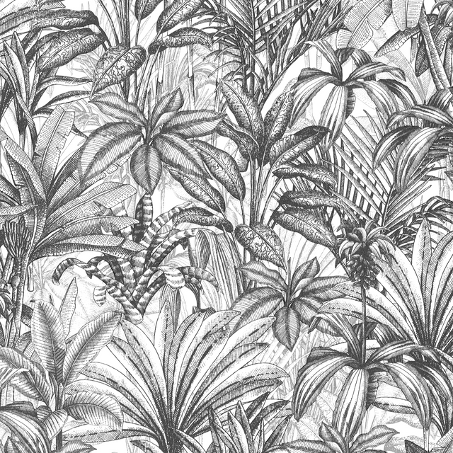 Papier peint intissé JEBHA coloris anthracite