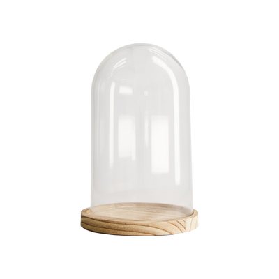 Cloche Dallas m Transparent