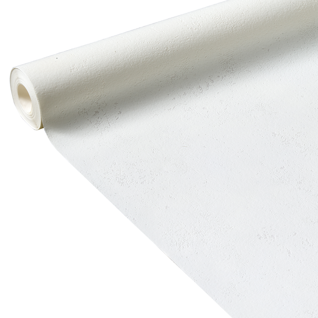 Fibre à peindre expansée sur intissé RENO WALL