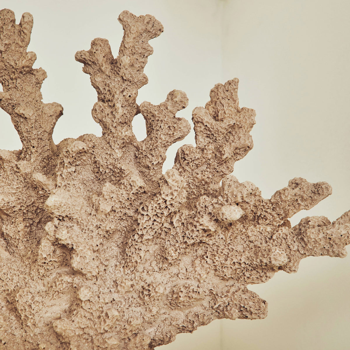 Figurine Poly Beige, marron