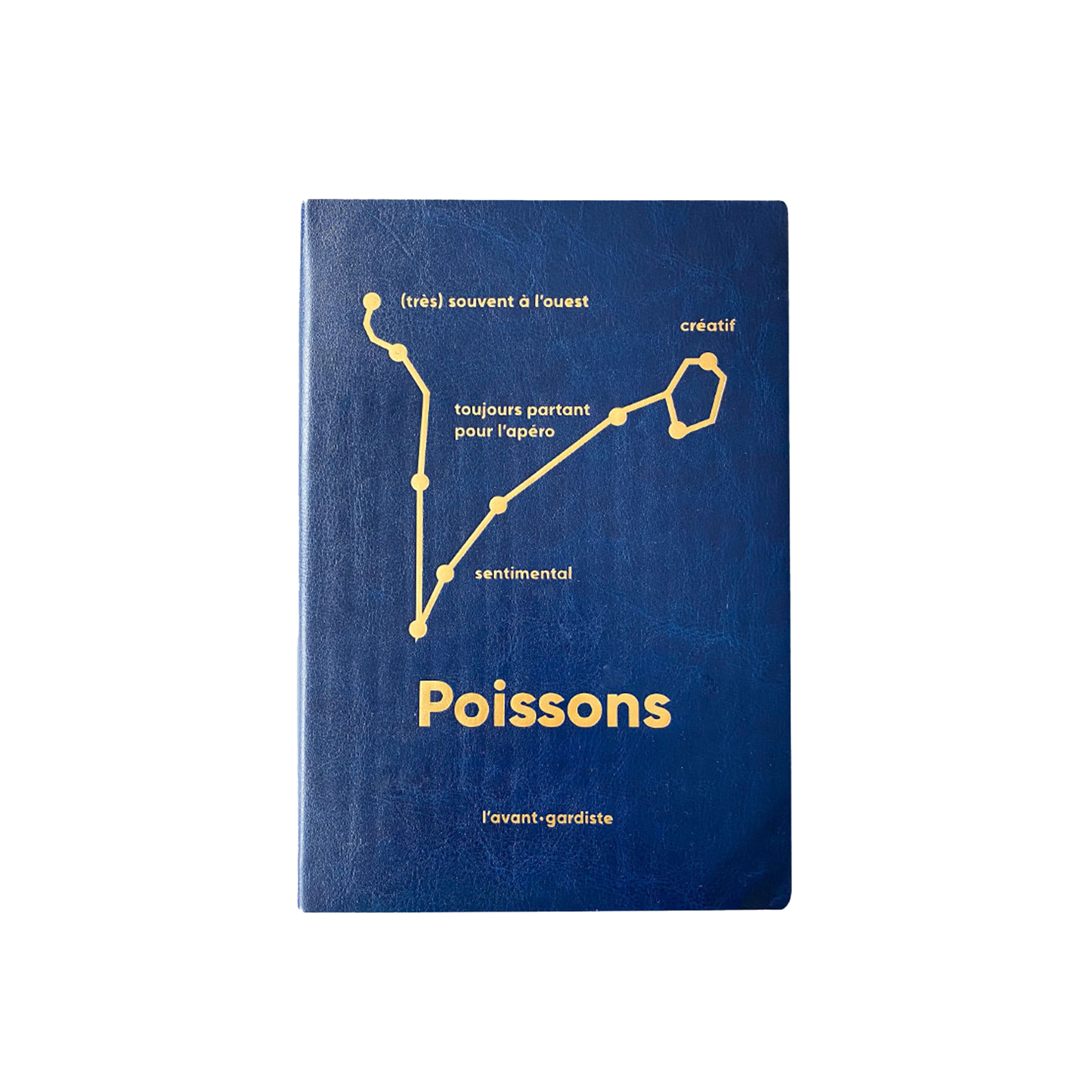 L'AVANT GARDISTE Carnet Astro poisson Bleu