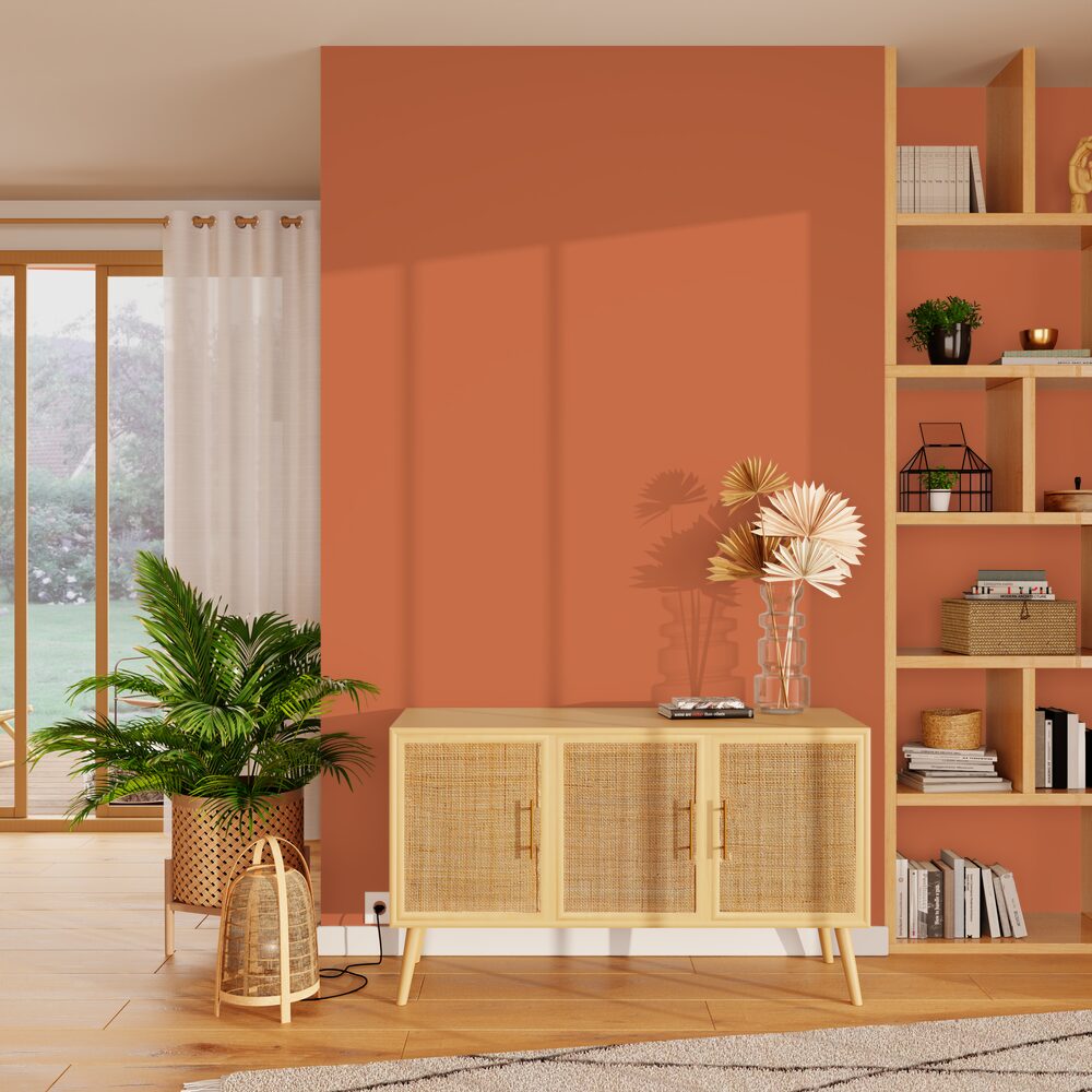 ABSOLU Peinture Absolu Terre cuite Mat 2,5L