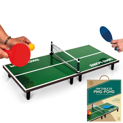 Jeu Table de ping pong Vert