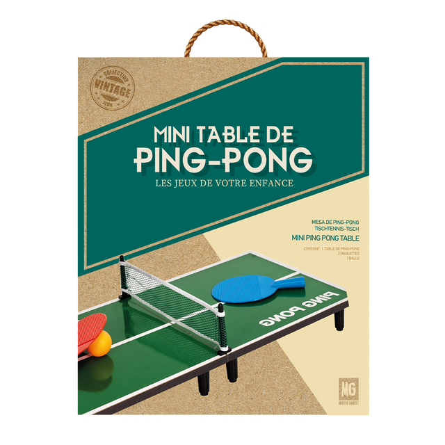 Jeux TABLE DE PING PONG