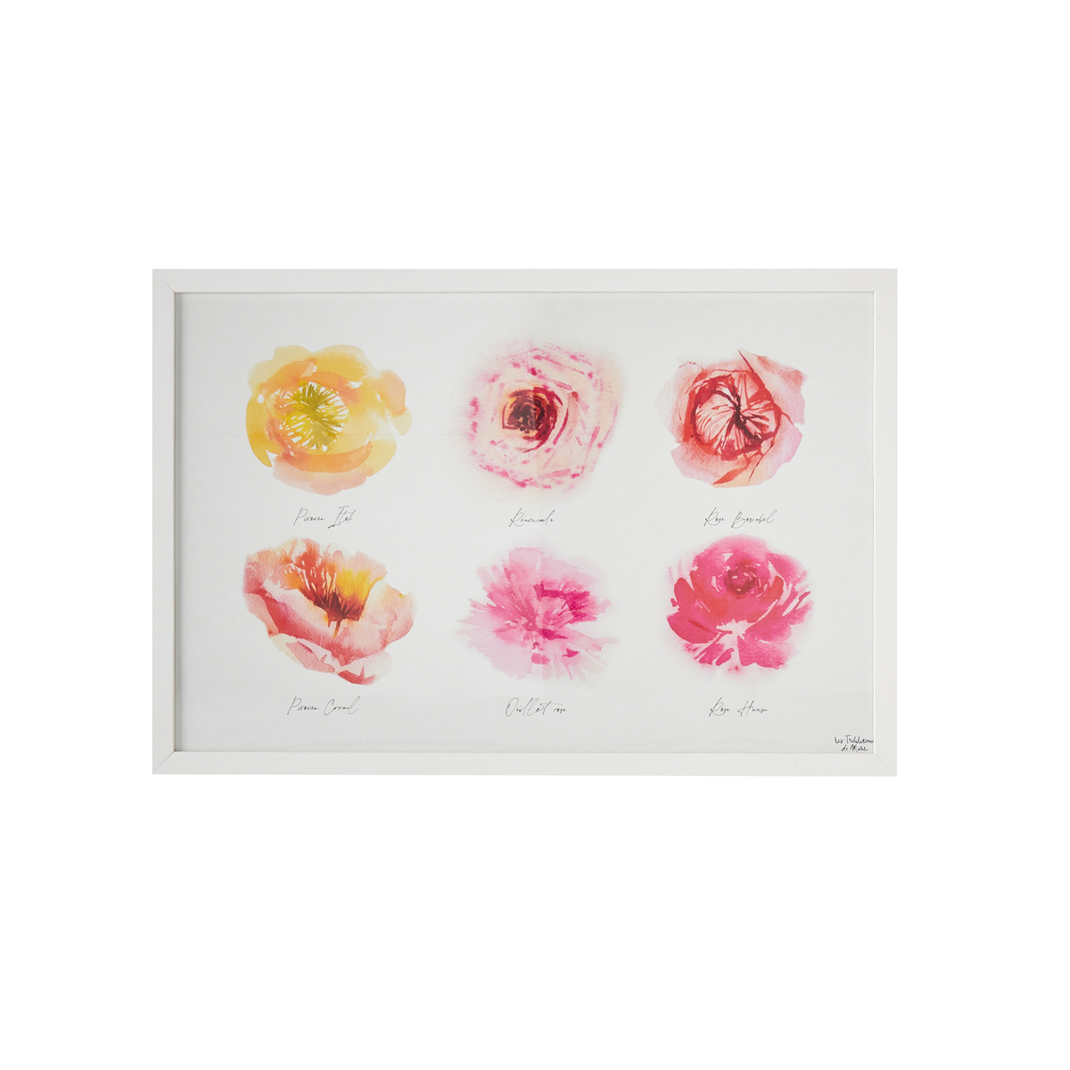 4MURS Image sous verre Roseraie Rose