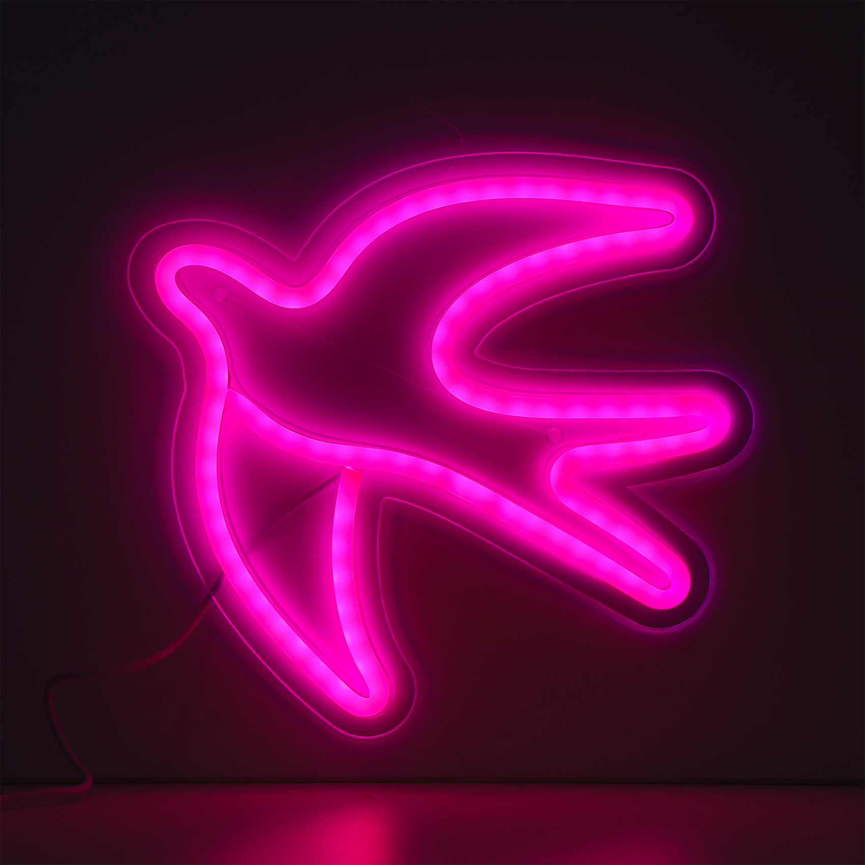 Néon Hirondelle Rose