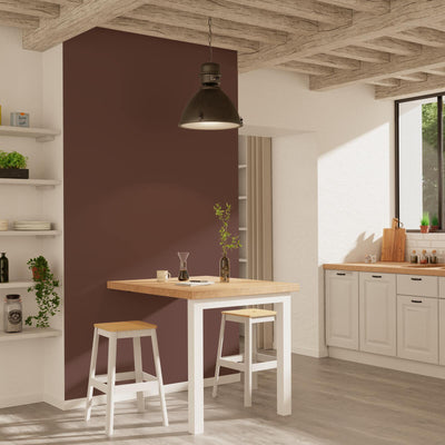 ABSOLU Peinture Absolu Cuir tanné Mat 2,5L