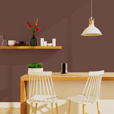 ABSOLU Peinture Absolu Cuir tanné Mat 0,5L