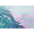 DIGITAL PALMS