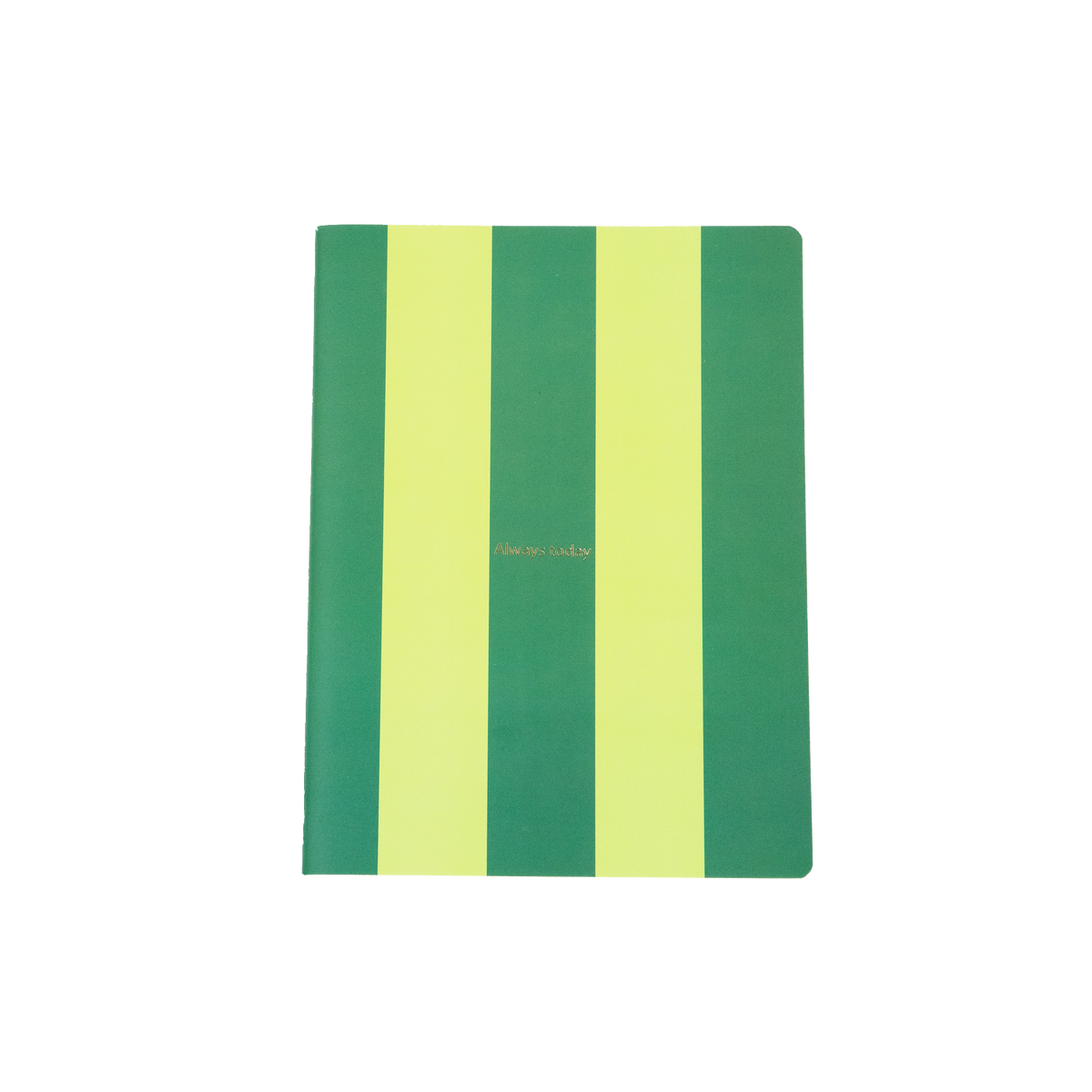 HELIO FERRETTI Carnet Always today Vert