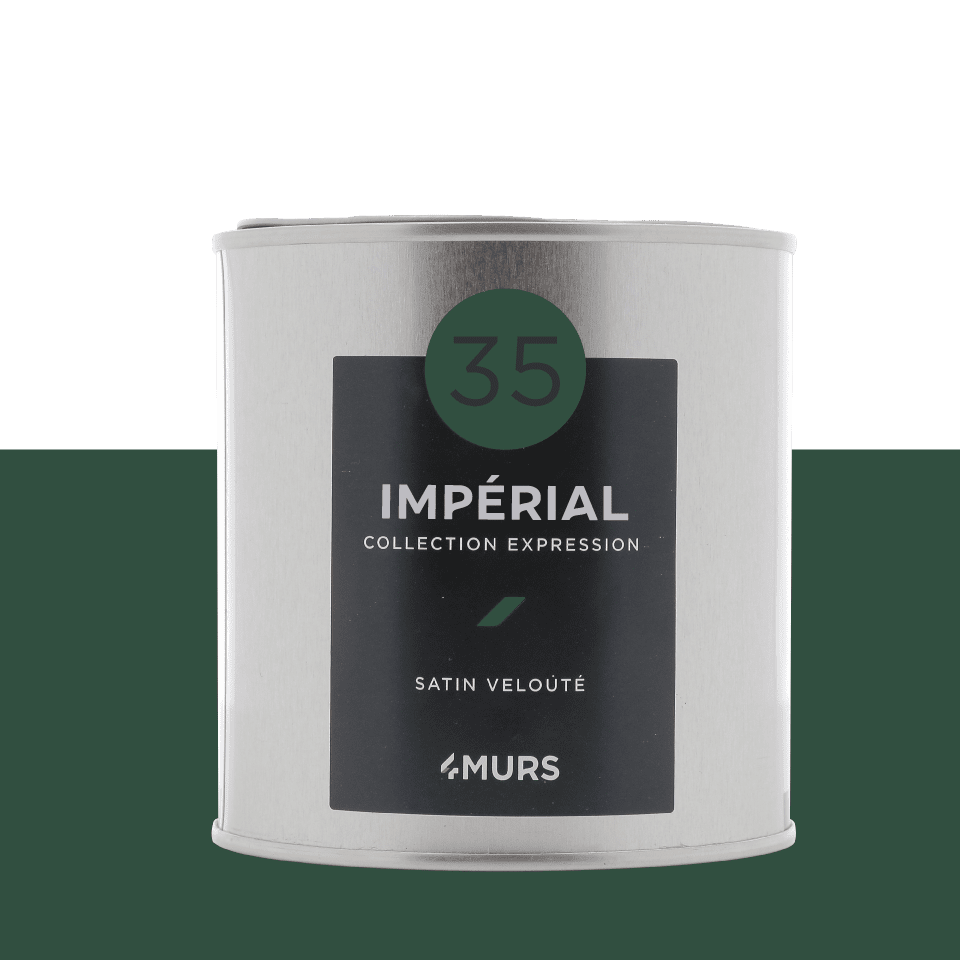 EXPRESSION Peinture Expression Impérial Satiné 0,5L
