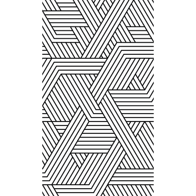 4MURS Papier peint panoramique L Markus Noir et blanc Satiné