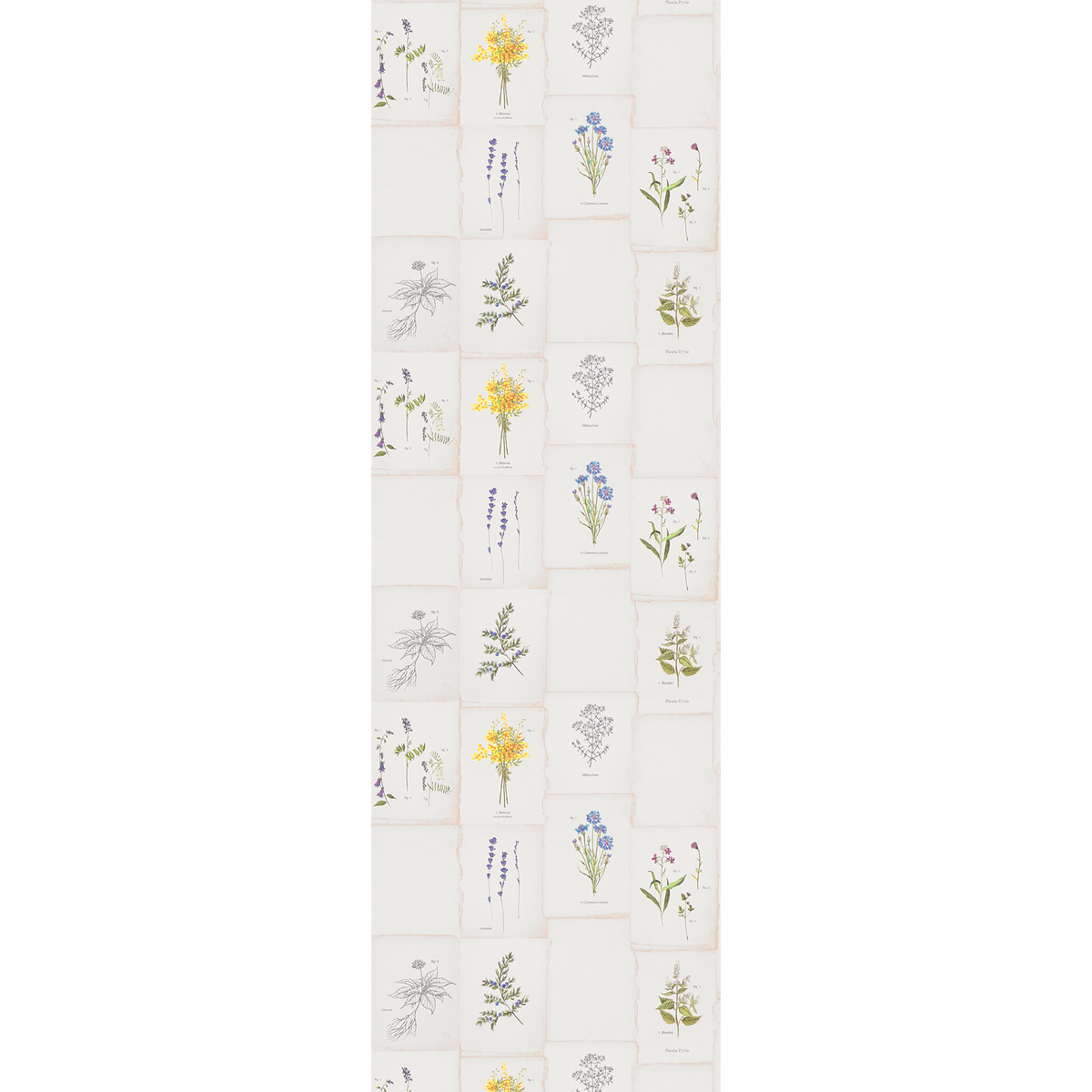 4MURS Papier peint intissé Garancia Multicolore