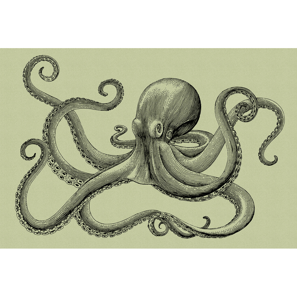 Papier peint panoramique XL Polpo Vert tilleul et noir Satiné