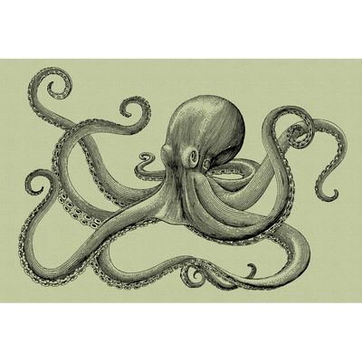 Papier peint panoramique XL Polpo Vert tilleul et noir Satiné