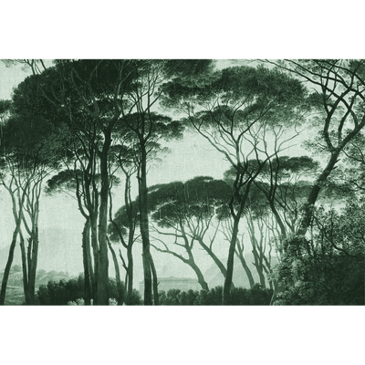 Papier peint panoramique XL Bosquet Vert anglais Satiné