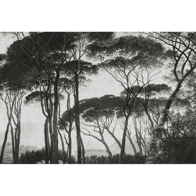 Papier peint panoramique XL Bosquet Anthracite Satiné