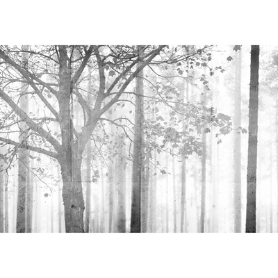 Papier peint panoramique XL Agatie Gris moyen Satiné