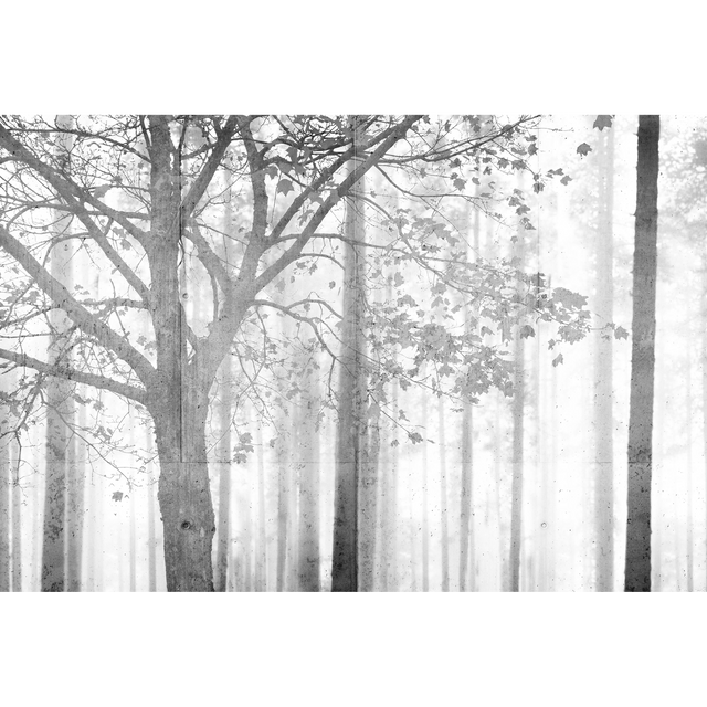 Papier peint panoramique XL AGATIE 400 x 270 cm