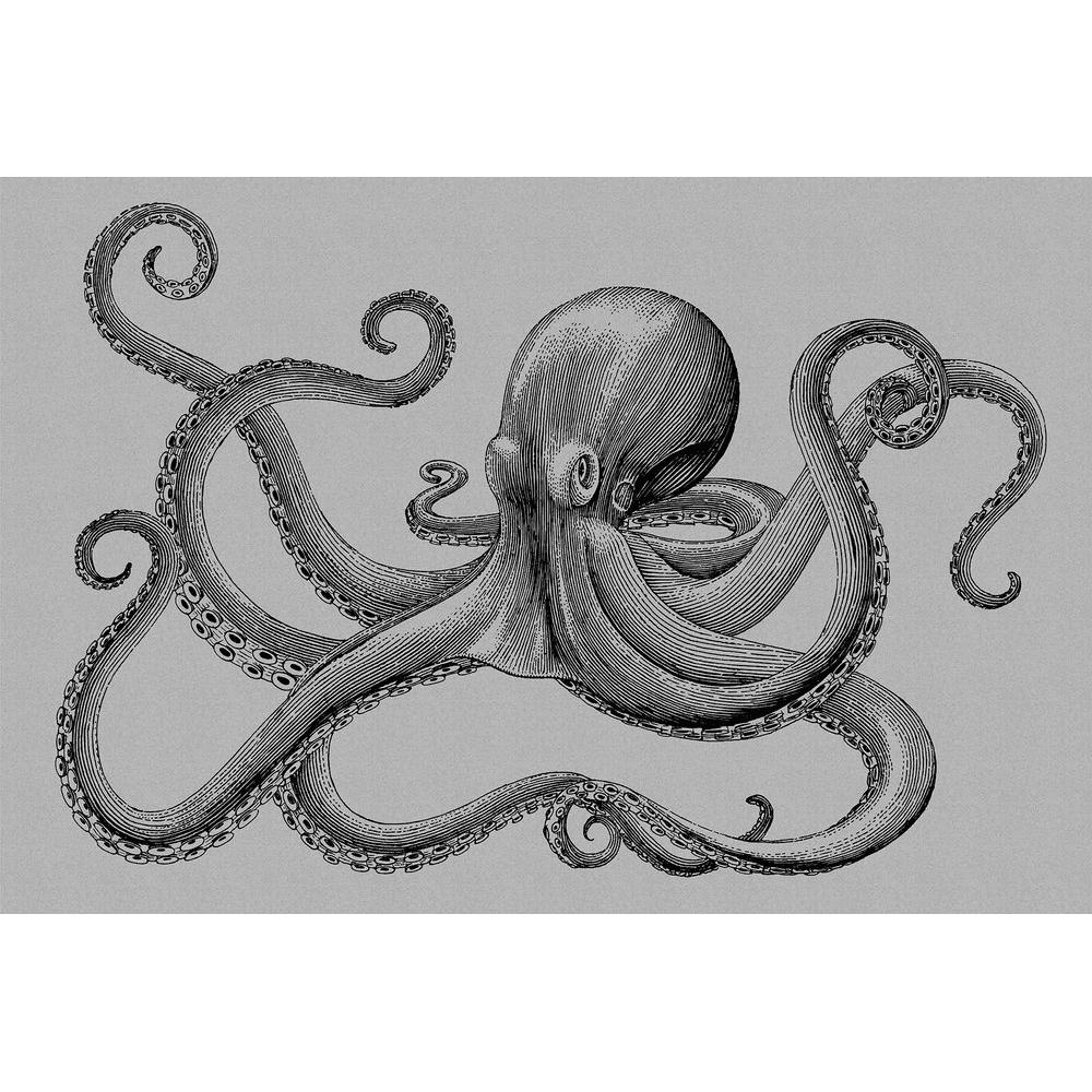 Papier peint panoramique XL Polpo Gris perle et noir Satiné
