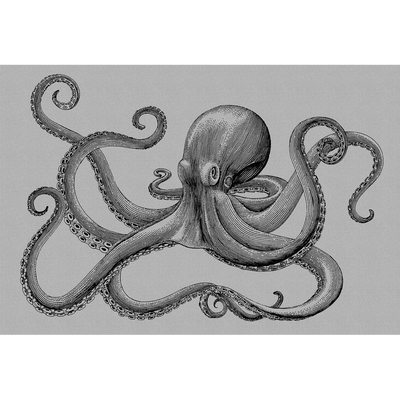 Papier peint panoramique XL Polpo Gris perle et noir Satiné