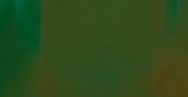 Papier peint panoramique XL VILUMI 400 x 270 cm vert pomme