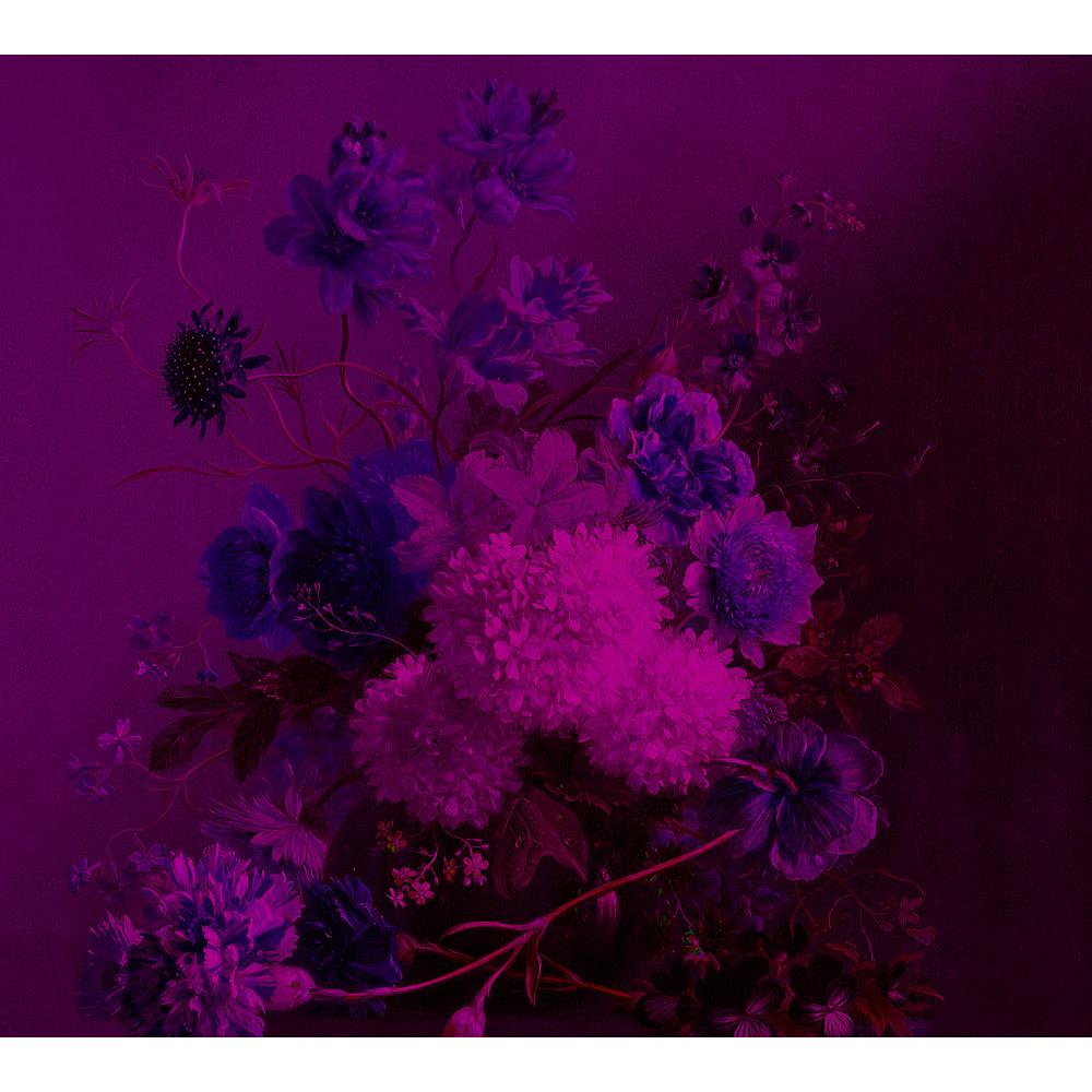 Papier peint panoramique XL Grappolo Violet Satiné