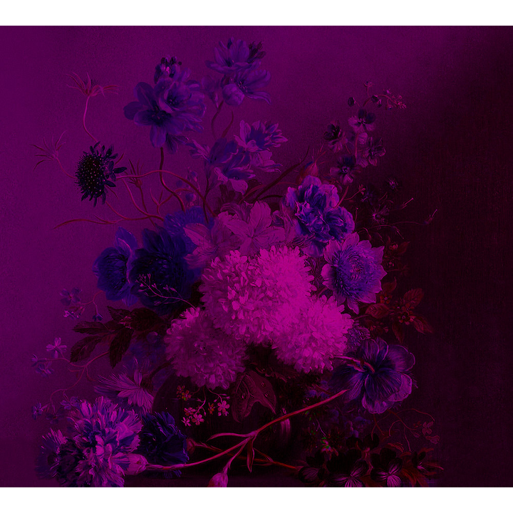 Papier peint panoramique XL Grappolo Violet Satiné