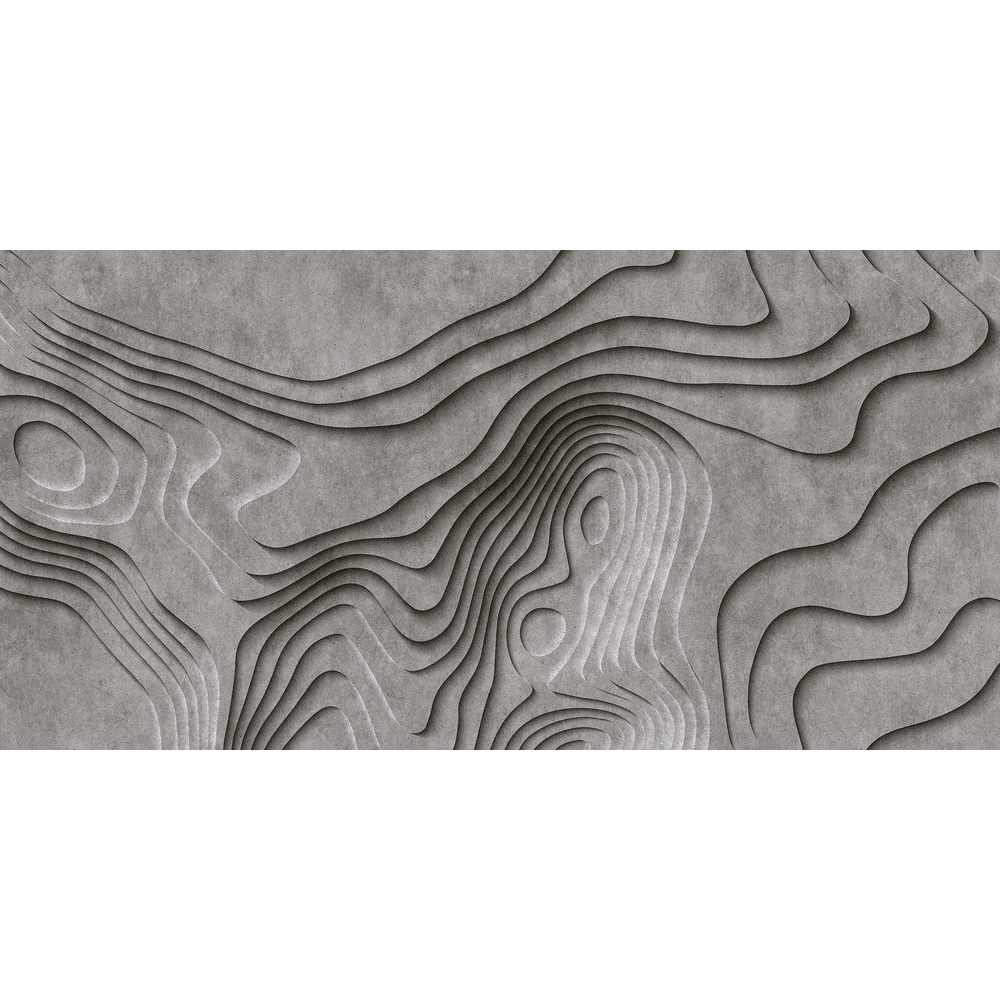 Papier peint panoramique XXL Kannyconcret Gris béton Satiné