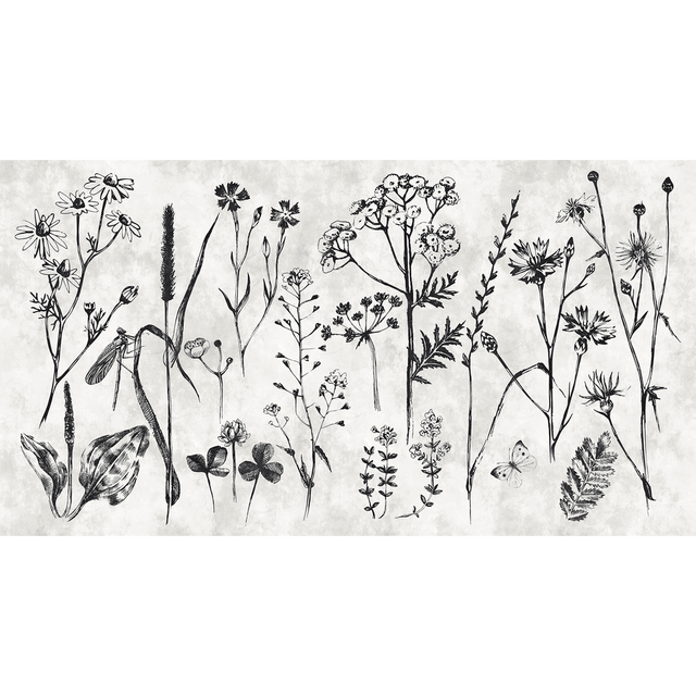 Papier peint panoramique XXL LUMTO 500 x 270 cm