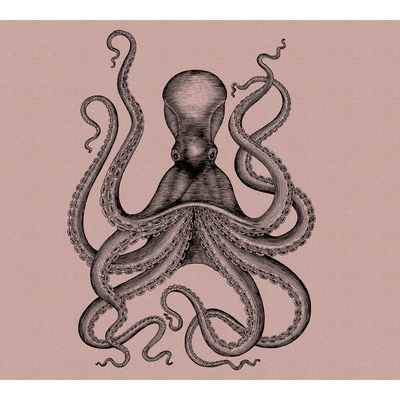 Papier peint panoramique XL Polpito Beige rosé et noir Satiné