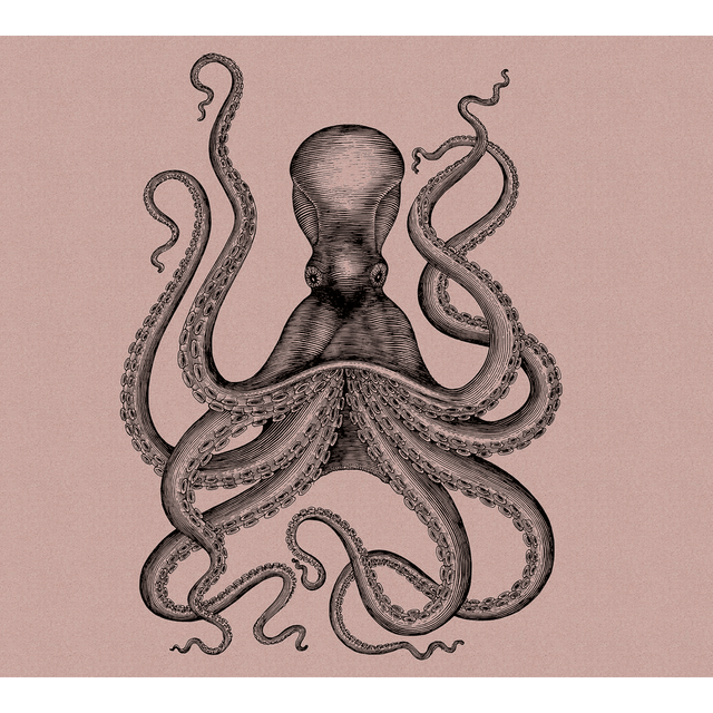 Papier peint panoramique XL POLPITO 300 x 270 cm