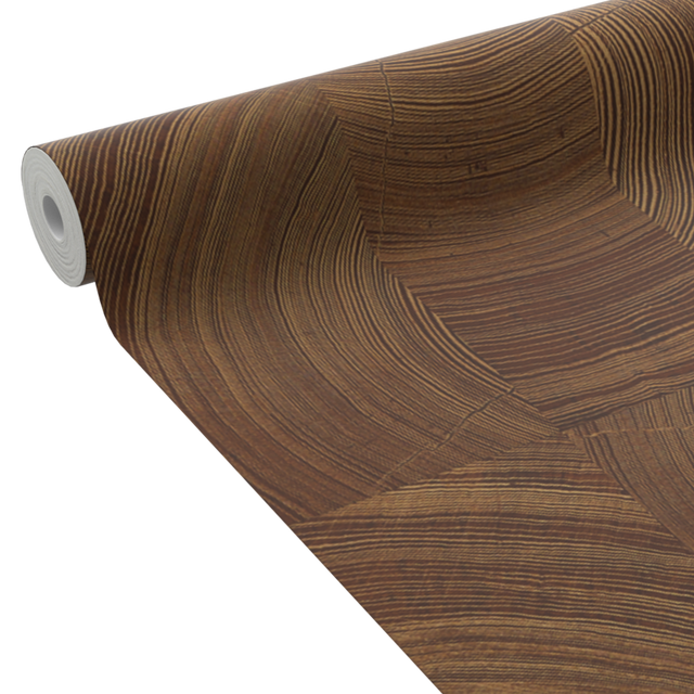 Papier peint intissé BARRY coloris marron