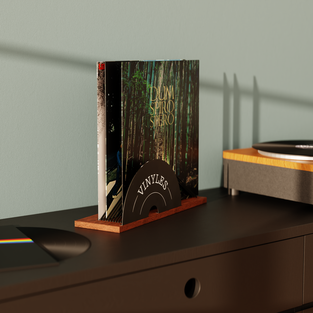 Boîte de rangement PORTE VINYLES coloris noir