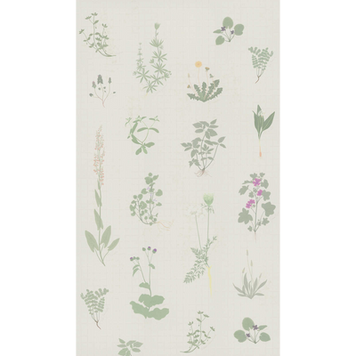 4MURS Papier peint panoramique L Herbier Vert feuille et écru