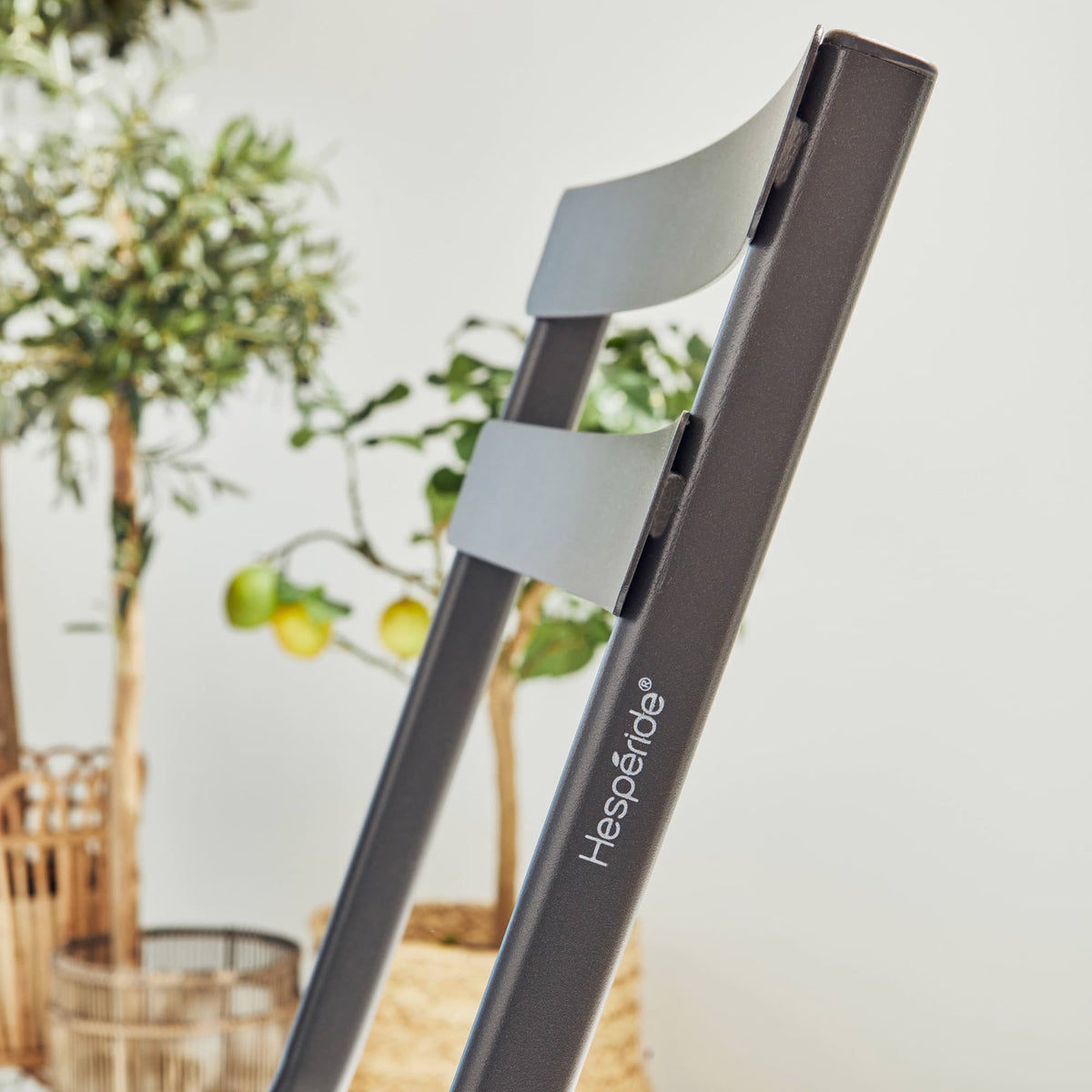 HESPÉRIDE Chaise Greensboro Graphite 1 place