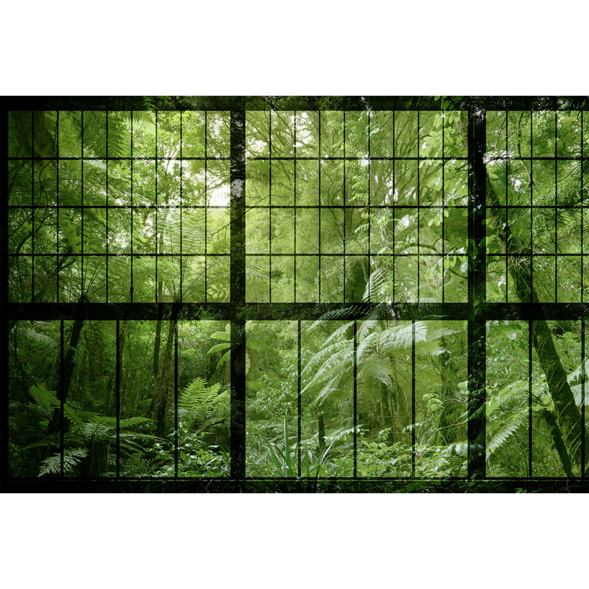 Papier peint panoramique XL Tropelia Vert feuille Satiné