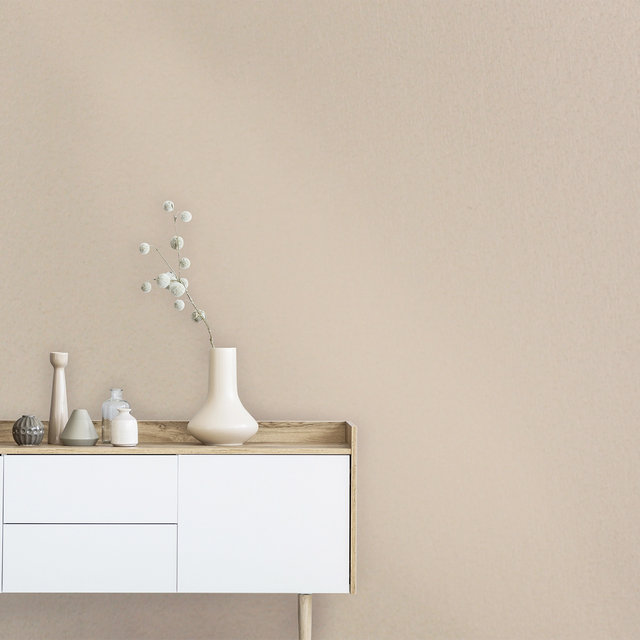 Richard Peinture IRIZ Peinture LION DU KENYA Brillant 2 L