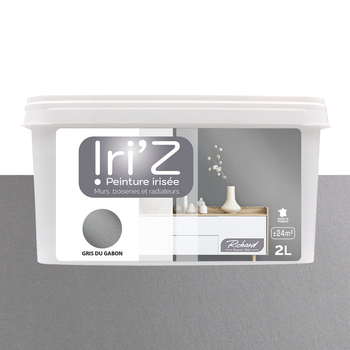 RICHARD Peinture Iriz Gris du gabon Brillant 2L
