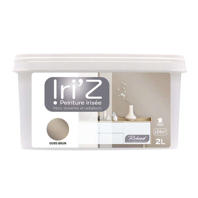 Richard Peinture IRIZ Peinture ours brun Brillant 2 L