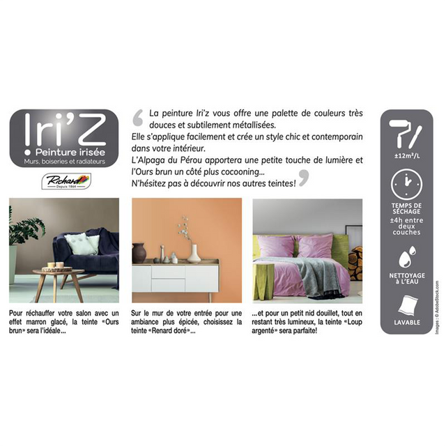 Richard Peinture IRIZ Peinture loup argenté Brillant 2 L