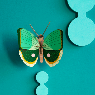 STUDIOROOF Kit Papillon fougère rayé Vert
