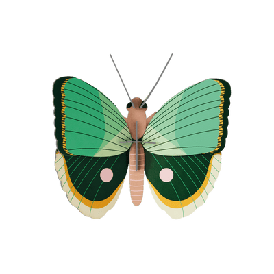 STUDIOROOF Kit Papillon fougère rayé Vert