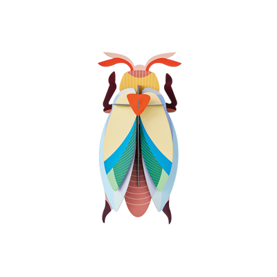 STUDIOROOF Kit Coléoptère bijou lunaire Multicolore